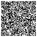 QR code with Pyramidion Books contacts