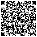 QR code with Precision Design Inc contacts