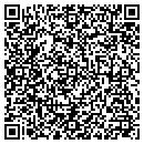 QR code with Public Storage contacts