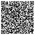 QR code with Dowtech contacts