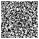QR code with Chapman Audio Systems contacts