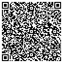 QR code with Brushworks Painting contacts