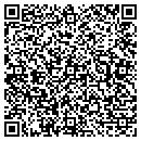 QR code with Cingular Interactive contacts