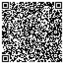 QR code with BLR Development Inc contacts