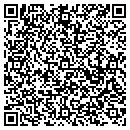 QR code with Princeton Systems contacts
