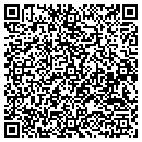 QR code with Precision Services contacts