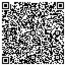 QR code with Pregnancy Aid contacts