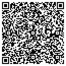 QR code with Premier Home Theater contacts