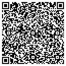 QR code with Carter Electric Inc contacts