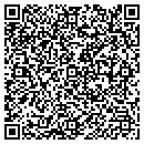 QR code with Pyro Media Inc contacts