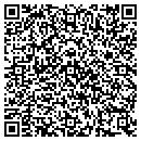 QR code with Public Storage contacts