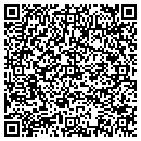 QR code with Pqt Solutions contacts