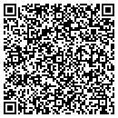 QR code with Puget Sound PC contacts