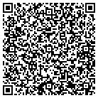 QR code with Professional Resources contacts