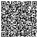 QR code with Vector contacts