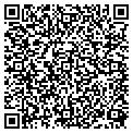 QR code with X Glass contacts
