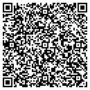 QR code with Bluejay Technologies contacts