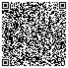 QR code with Baines Small Engine Repa contacts