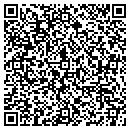 QR code with Puget Sound Electric contacts