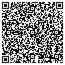 QR code with DSV Landscaping contacts