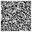 QR code with Punk's Muffler contacts