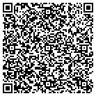 QR code with Babyland Diaper Service contacts