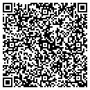 QR code with Cognisa Security contacts