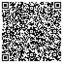 QR code with Public Storage contacts