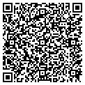 QR code with Festoon contacts
