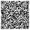 QR code with Yesiki contacts