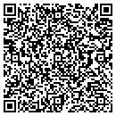 QR code with Punks Racing contacts