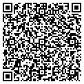 QR code with Intex contacts