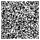 QR code with Professional Termite contacts