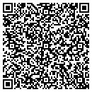 QR code with Carson Mini Storage contacts