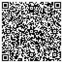 QR code with Project Access contacts