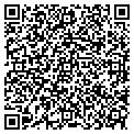 QR code with Magi Inc contacts