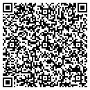QR code with Pulp Bleaching contacts