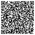 QR code with Jorve contacts