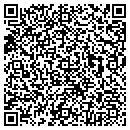 QR code with Public Works contacts