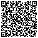 QR code with E-Cell contacts