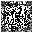 QR code with Public Works contacts
