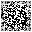 QR code with Brian Nelson contacts