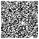 QR code with Pb & Js Playtime Junction contacts