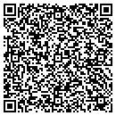 QR code with Crane Consultants Inc contacts