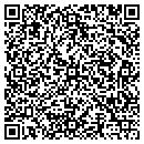 QR code with Premier Auto Sports contacts