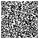 QR code with Cevian Technology contacts