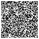 QR code with Premium Tune N Lube contacts