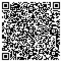 QR code with Capri contacts