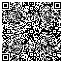 QR code with Projects In Progress contacts