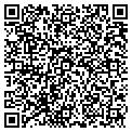 QR code with Toddco contacts